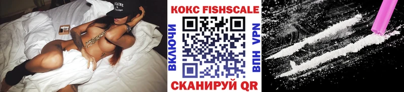 Кокаин FishScale  Купить где  Спас-Клепики 